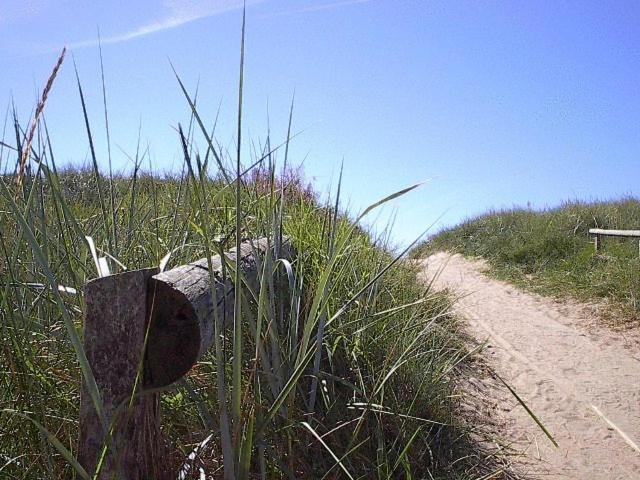 Skrea Camping Hotell Falkenberg Eksteriør bilde